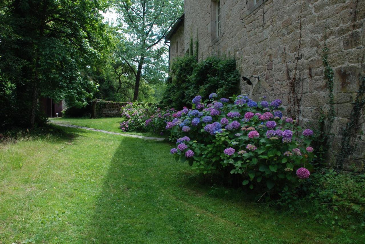 B&B Chateau Le Bois Saint-Julien-aux-Bois Esterno foto