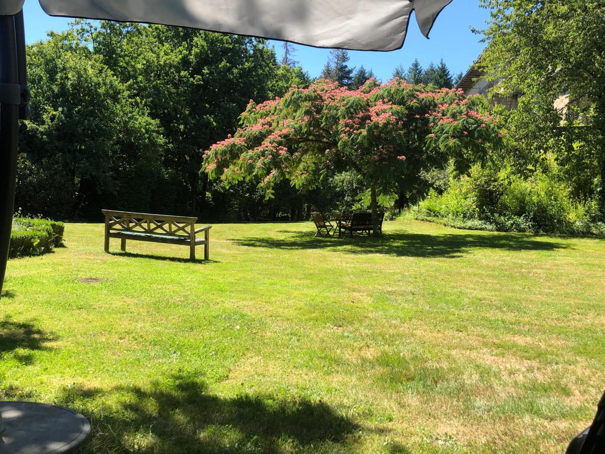 B&B Chateau Le Bois Saint-Julien-aux-Bois Esterno foto